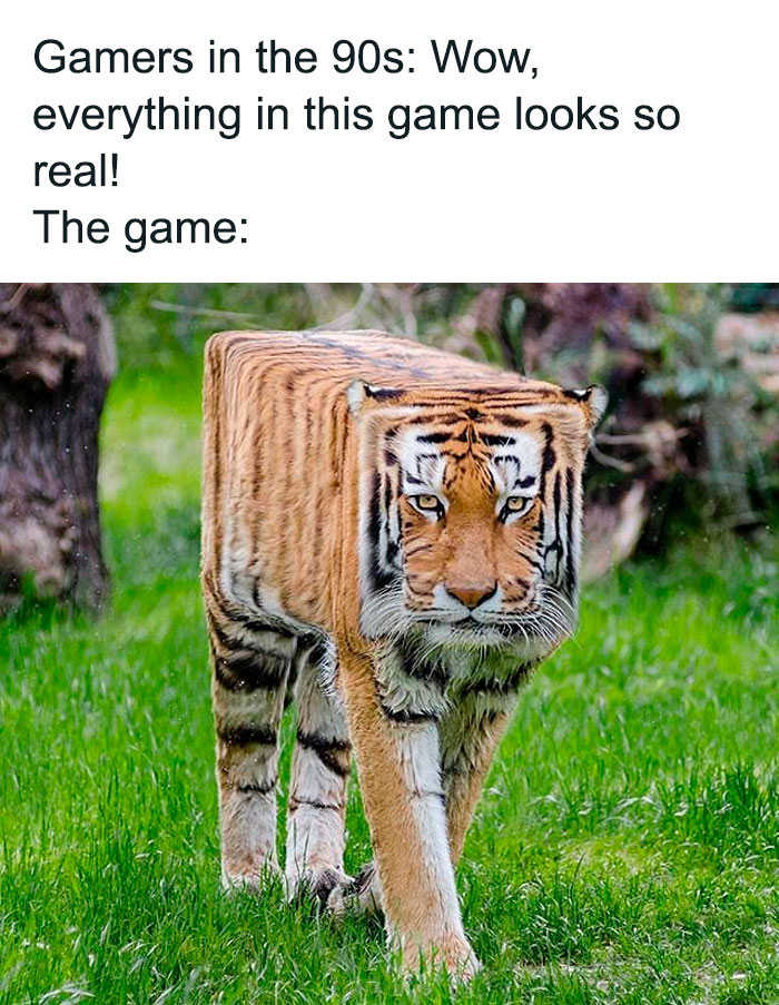 Wonderful-Engineering-Funny-Memes