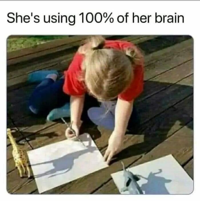 Child drawing shadows of toy animals on paper; humorous engineering meme.
