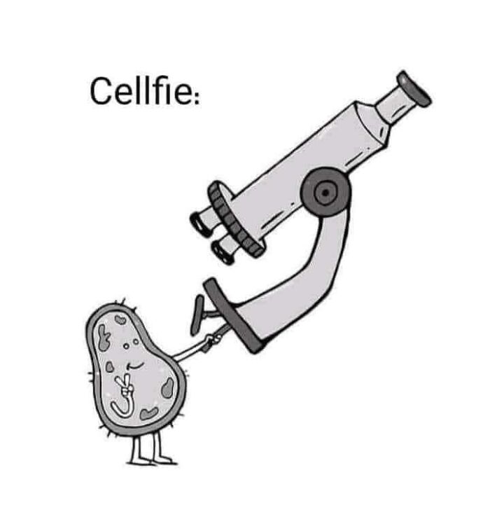 A cell taking a selfie with a microscope, a humorous engineering meme.