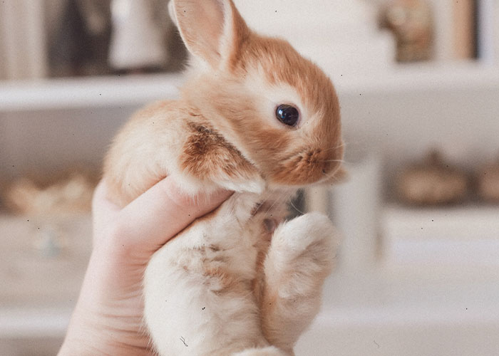 "Zero Self-Awareness": 30 People Who've Worked With Influencers Share What They Were Like