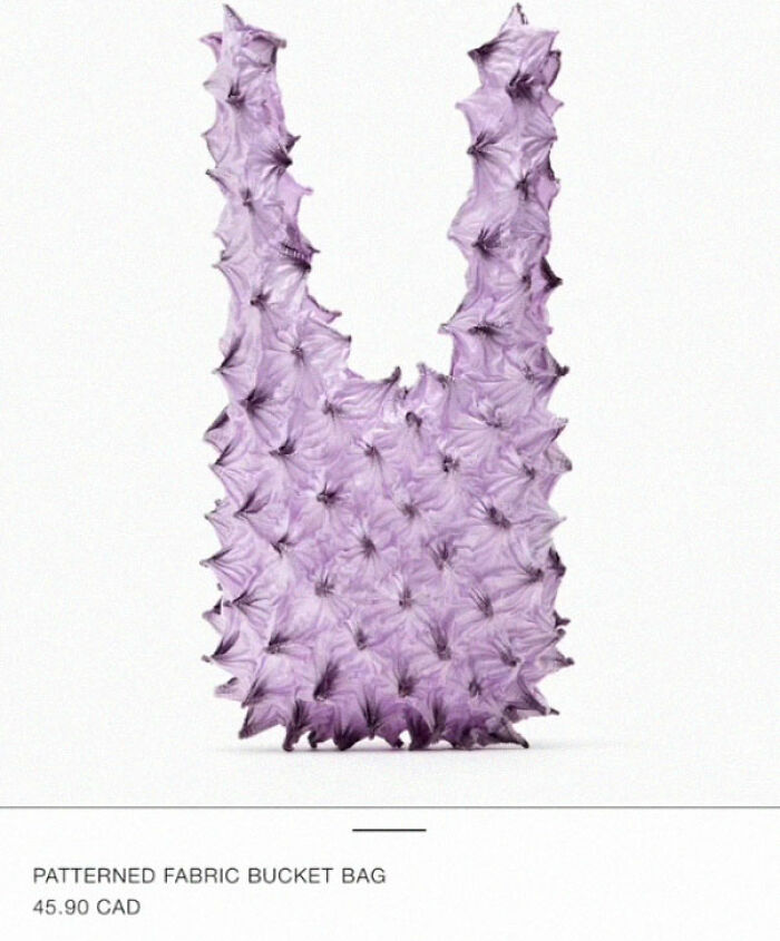 Zara-Questionable-Clothes-Designs