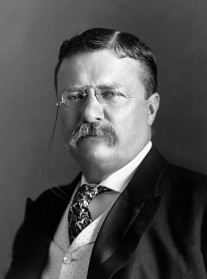 Theodore Roosevelt