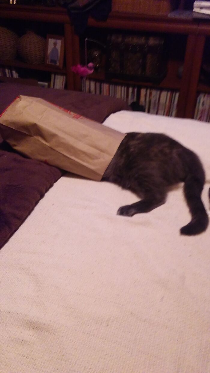 She Likes To Sleep With Her Head In A Wendy's Bag