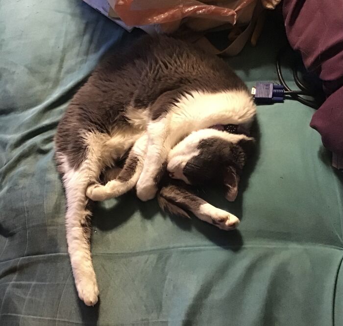 Before Assembling You IKEA Kät, Be Sure To Read All Instructions Thoroughly