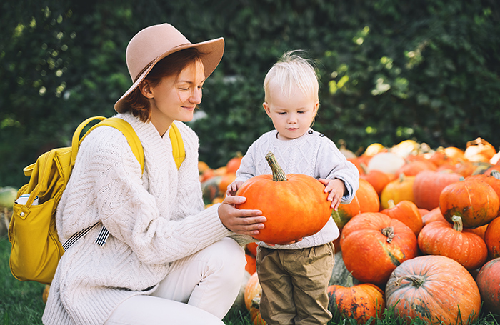 “It's Her Tradition”: MIL Blows Up At Son And His Wife Over Pumpkin Patch Betrayal “It's Her Tradition”: MIL Blows Up At Son And His Wife Over Pumpkin Patch Betrayal