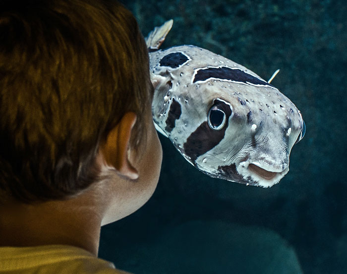 People Share 35 Comments From Little Kids That Seemed So Innocent To Them But Stunned The Adults