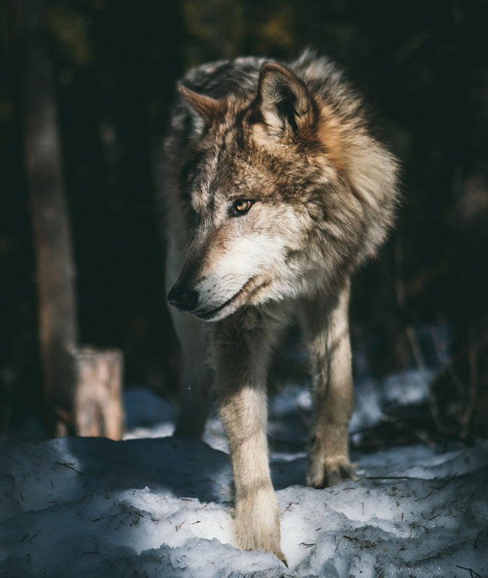 20 Datos científicamente probados que la gente se niega a aceptar