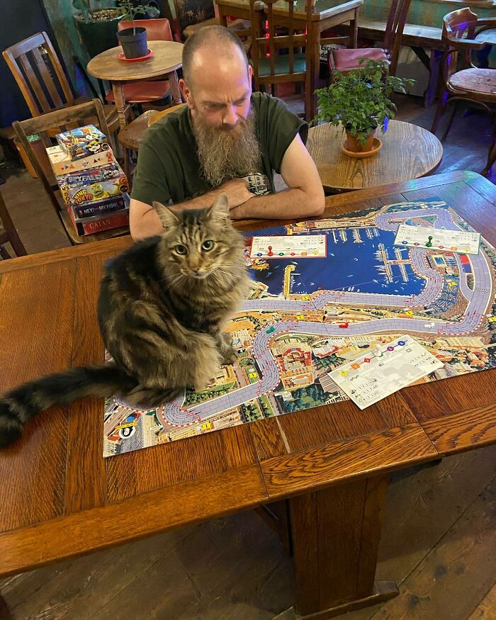 Este hombre abrió un pub y empezó a acoger gatos callejeros: así nació el primer pub de gatos de Bristol Este hombre abrió un pub y empezó a acoger gatos callejeros: así nació el primer pub de gatos de Bristol