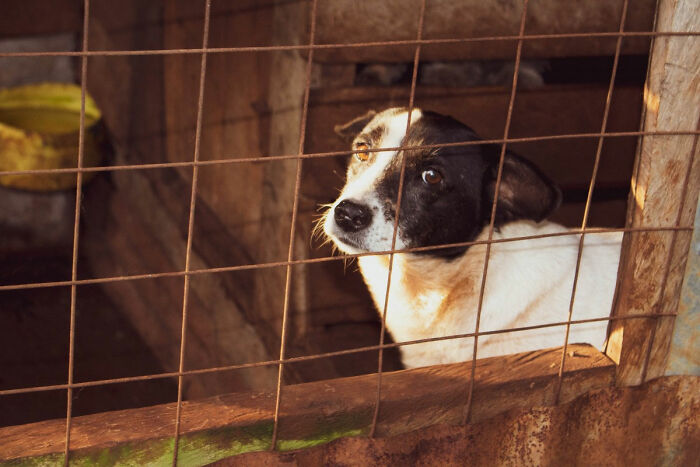 “People That Don’t Hate Their Jobs And Make A Decent Wage, What Do You Do?” (30 Answers)