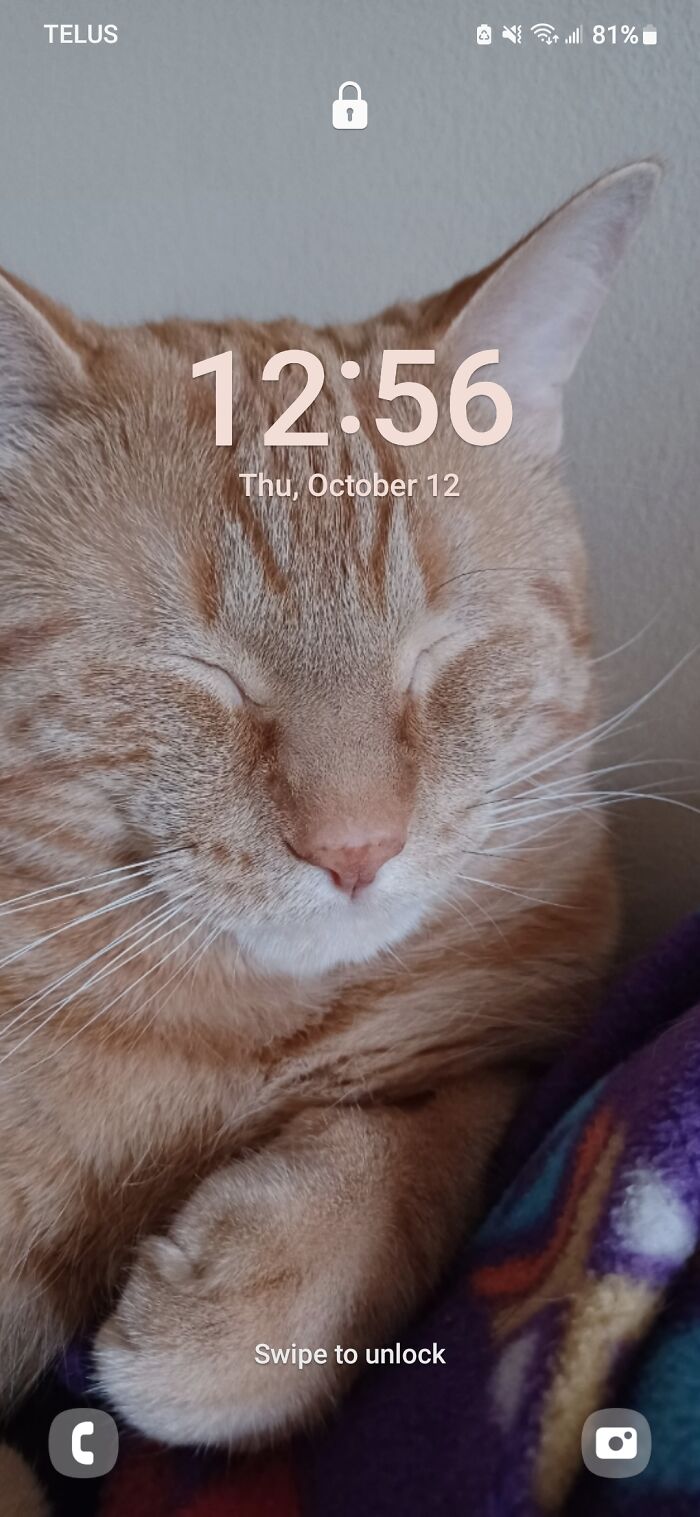 My Utie Patootie (His Name Is Uhtred)