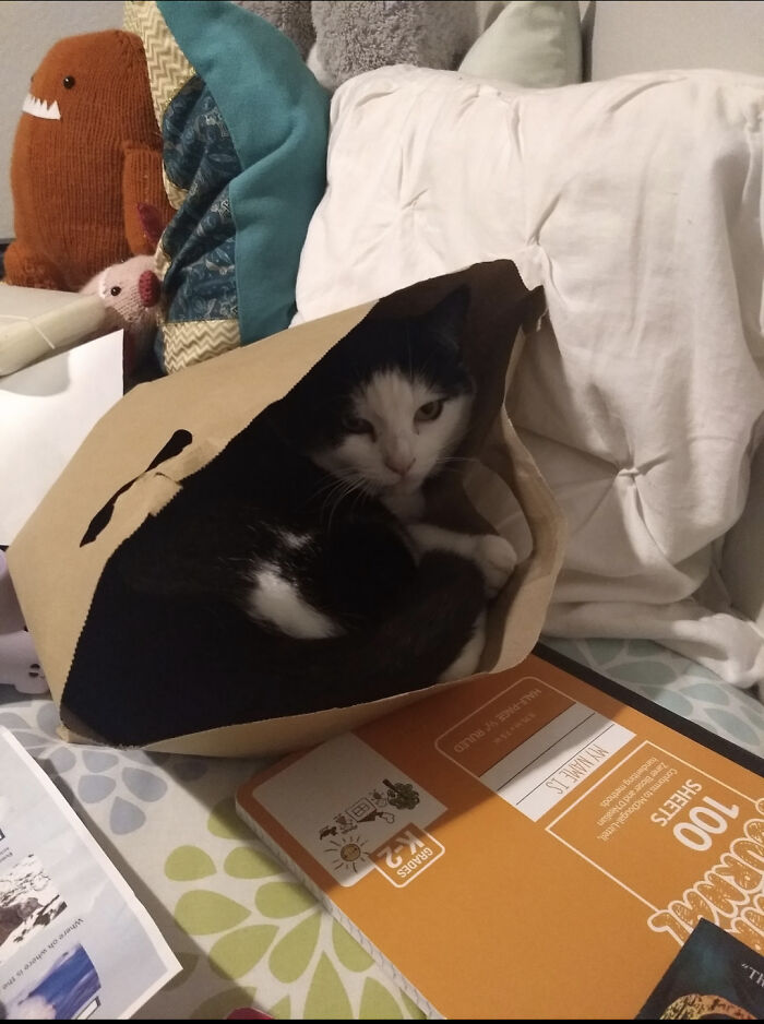 My Baby Tinka, Being The Weirdo She Is