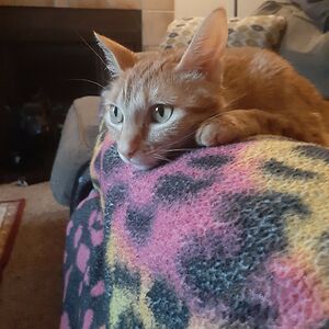 sandyjpritchard avatar