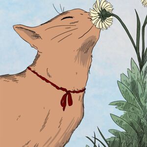 prismatic-pumpkin avatar