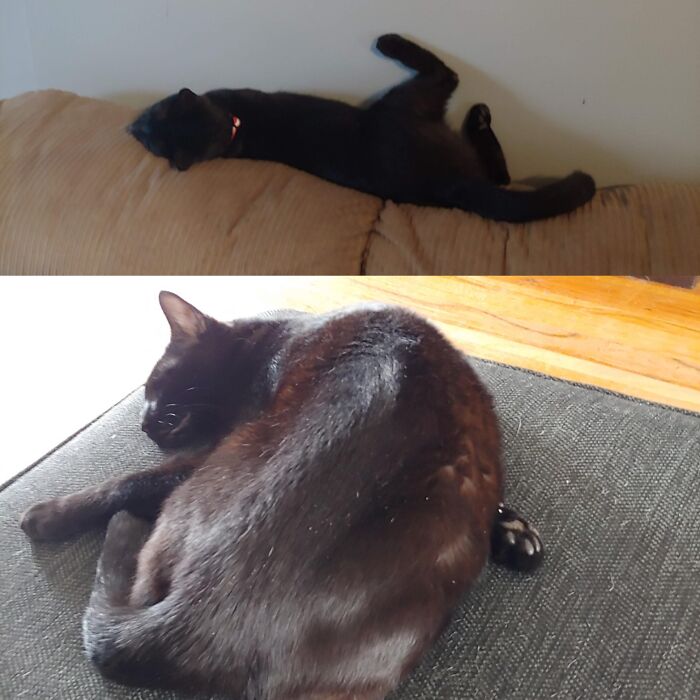 Couldn't Decide Between Foot On The Wall, Or Contortion Foot