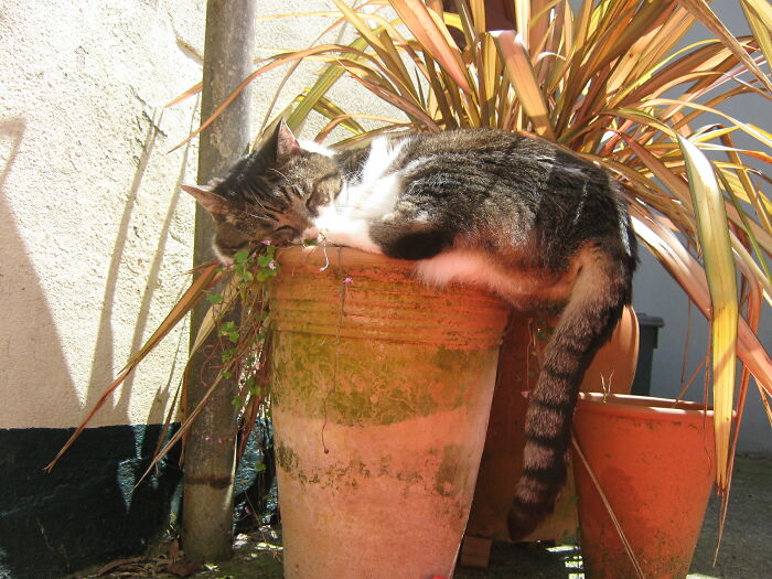 Bumper Crop This Year