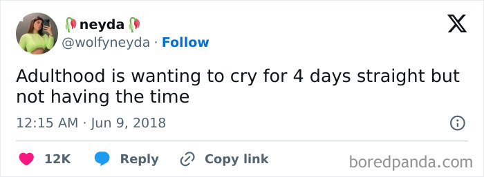 Funny-Tweets-Define-Adulting