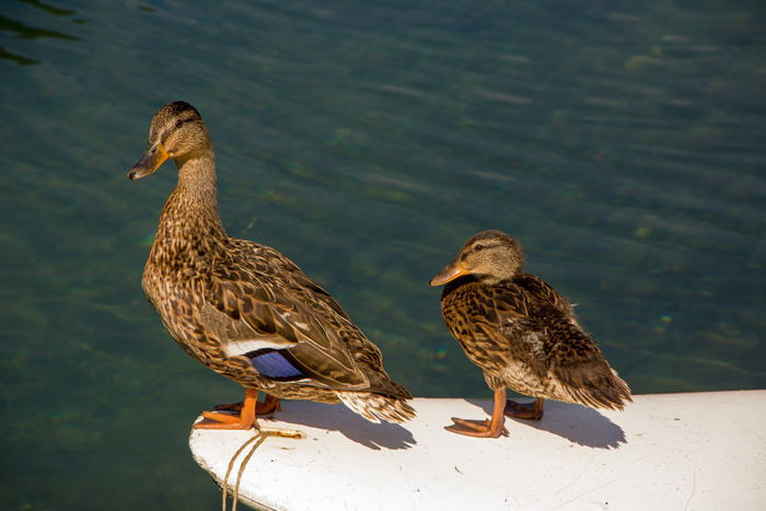 34 Tales That Illustrate What A Solid Relationship Should Look Like, As Shared By Women Online