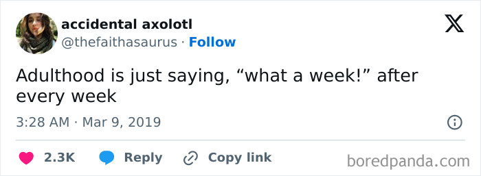 Funny-Tweets-Define-Adulting