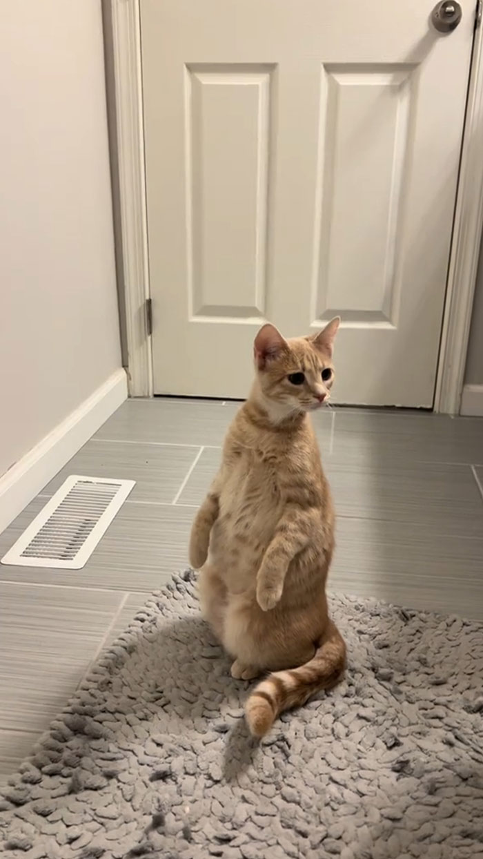 When Your Child Takes Their First Steps