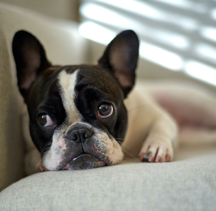 30 Red Flags That People Would Ignore In Their Potential Partner