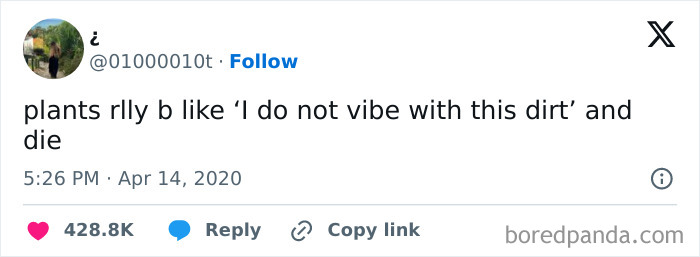 Beige-Cardigan-Funny-Memes