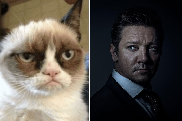 Funny-Celebrity-Lookalikes