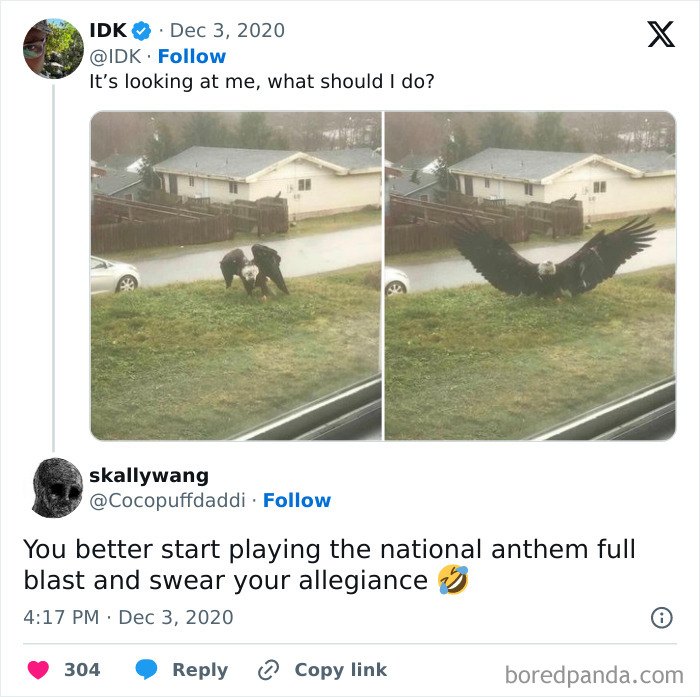 Funny-Memes-Relatable-Nation