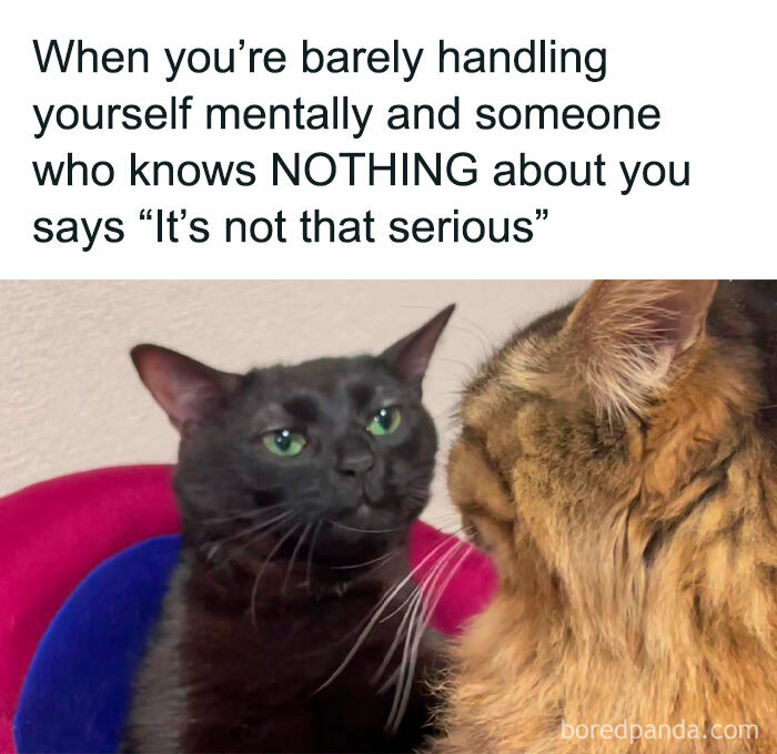 Memes-Introverted-People-Can-Relate