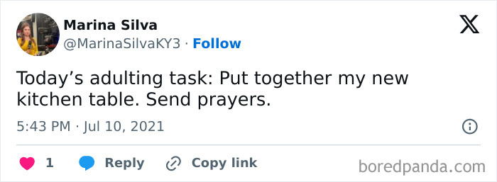 Funny-Tweets-Define-Adulting