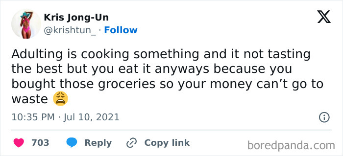 Funny-Tweets-Define-Adulting