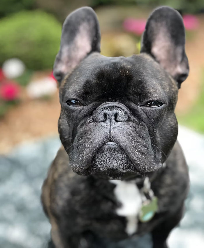 29 Solid Facts That Some People Flat-Out Refuse To Accept