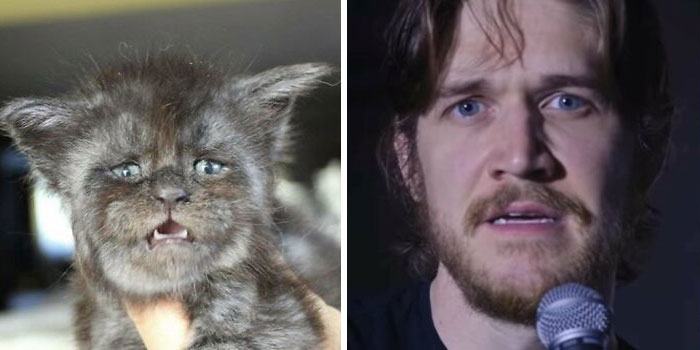 Funny-Celebrity-Lookalikes