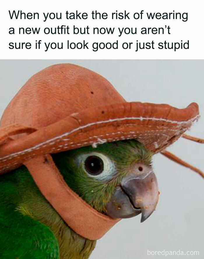 Memes-Introverted-People-Can-Relate