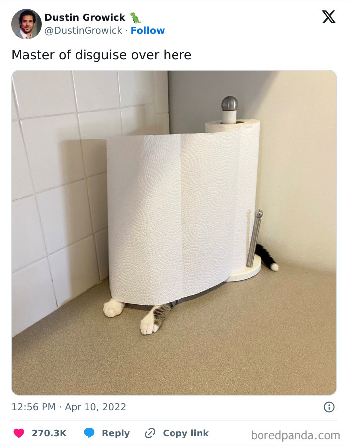 Beige-Cardigan-Funny-Memes