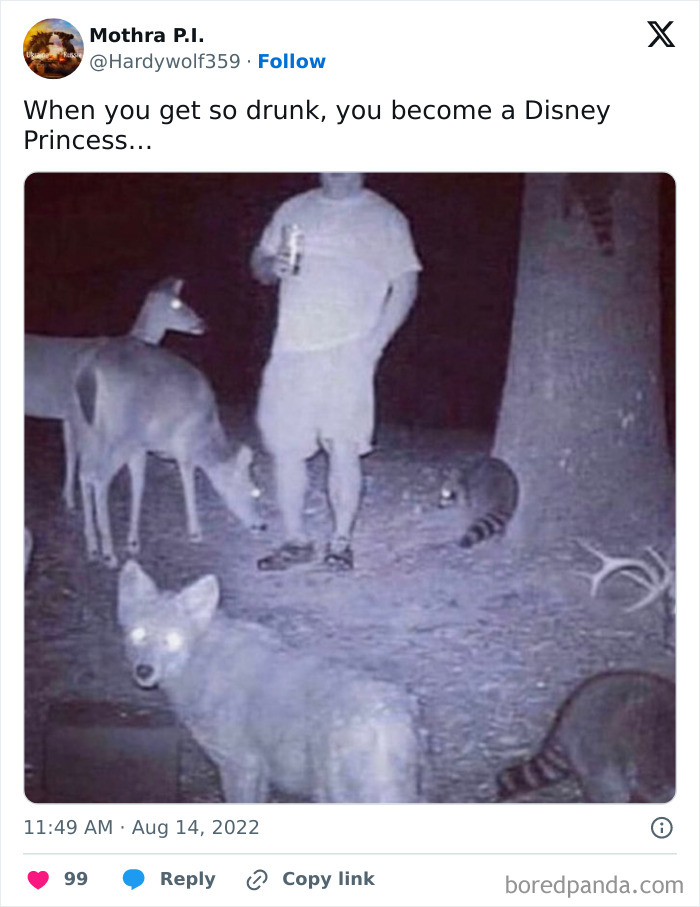 Hilarious-Animal-Memes