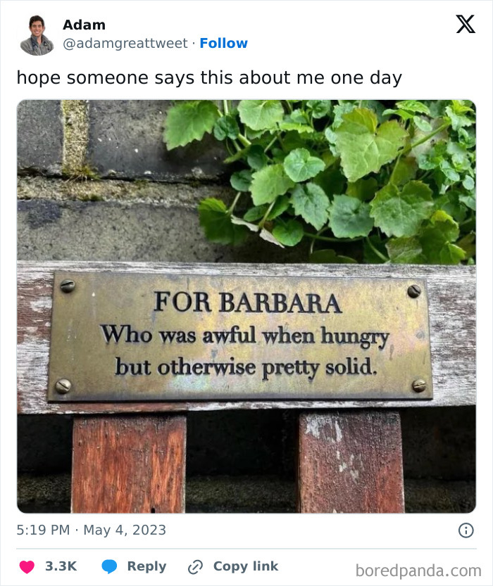 Plaque on a bench reads "FOR BARBARA, Who was awful when hungry, but otherwise pretty solid," surrounded by plants.