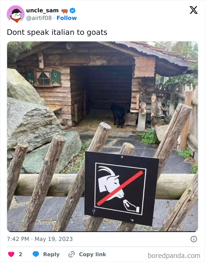 Hilarious-Animal-Memes