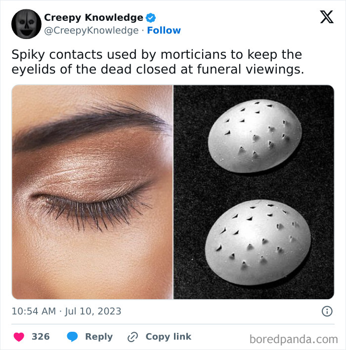 Creepy-Knowledge-Facts-Twitter