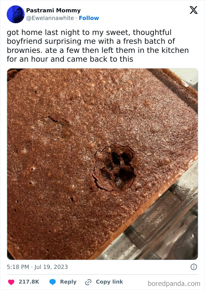 Animal-Humors-Funny-Memes