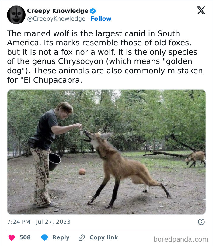 Creepy-Knowledge-Facts-Twitter