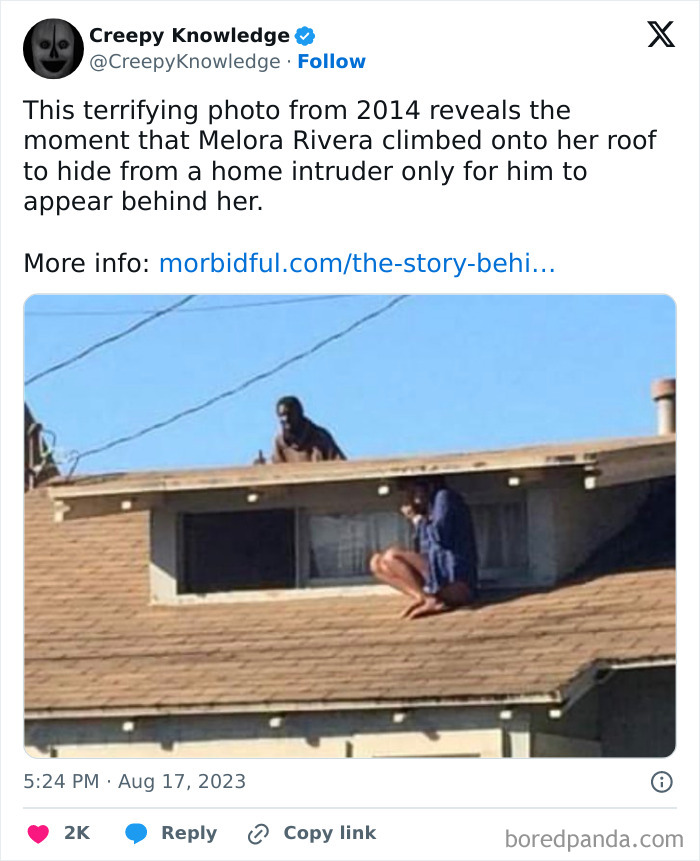 Creepy-Knowledge-Facts-Twitter