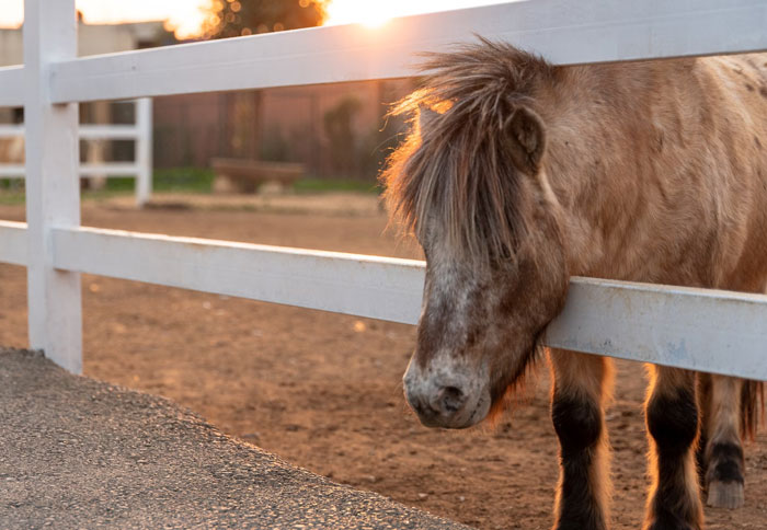 Woman Cancels Engagement After Fiancé Blows Up Over Not Getting Slice Of Inheritance Woman Cancels Engagement After Fiancé Blows Up Over Not Getting Slice Of Inheritance