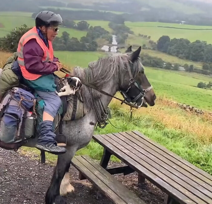 82 Y.O. Hiker Just Returned From Epic 600-Mile Horseback Journey With Her 10 Y.O. Dog In Tow