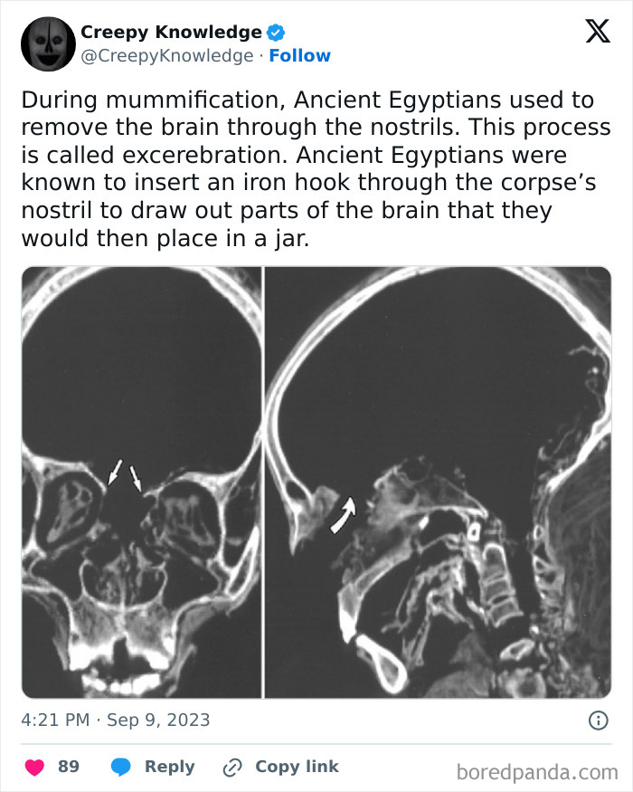 Creepy-Knowledge-Facts-Twitter