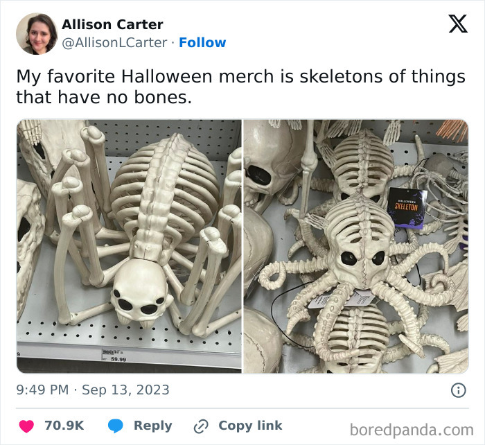 Every Year My Collection Grows