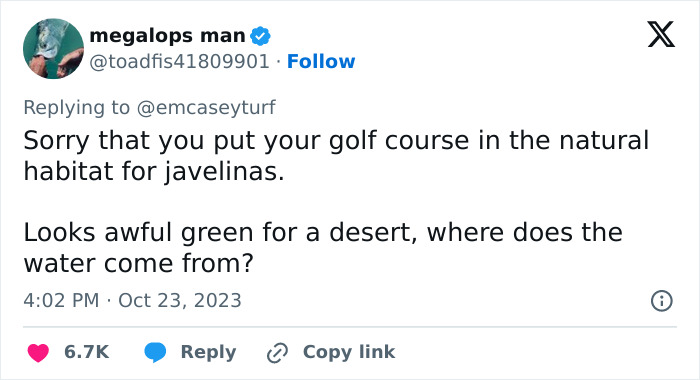 Javelinas Have No Mercy On A Golf Course In Arizona And Folks Online Are Cheering Them On Javelinas Have No Mercy On A Golf Course In Arizona And Folks Online Are Cheering Them On