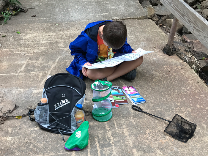3 Y.O. Swears At Teacher Over Spilled Lunch, School Insists On An Apology Letter But Parents Refuse 3 Y.O. Swears At Teacher Over Spilled Lunch, School Insists On An Apology Letter But Parents Refuse