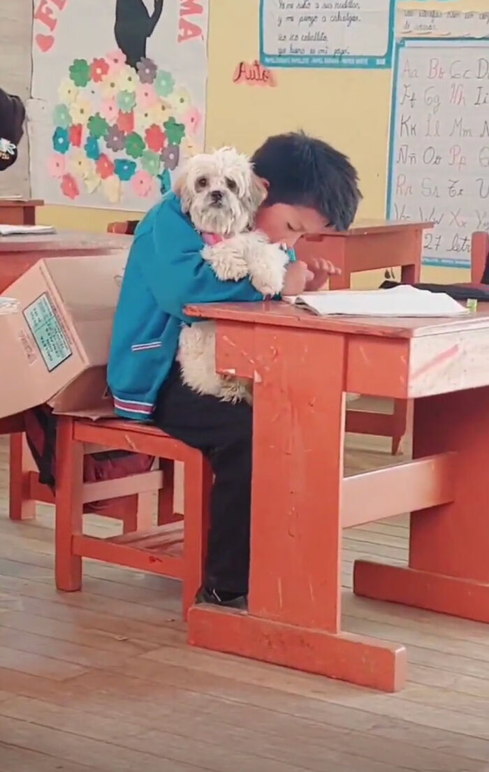 Student Going Through Hardships Asks Teacher If He Can Bring His Dog To School Student Going Through Hardships Asks Teacher If He Can Bring His Dog To School