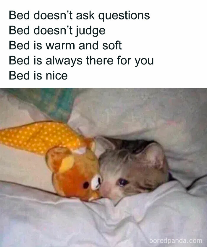 Memes-Introverted-People-Can-Relate