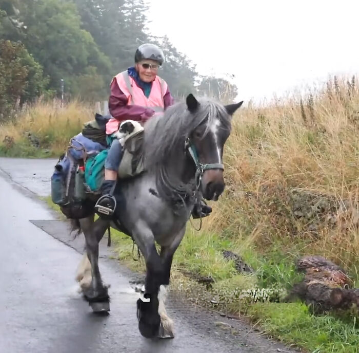 82 Y.O. Hiker Just Returned From Epic 600-Mile Horseback Journey With Her 10 Y.O. Dog In Tow
